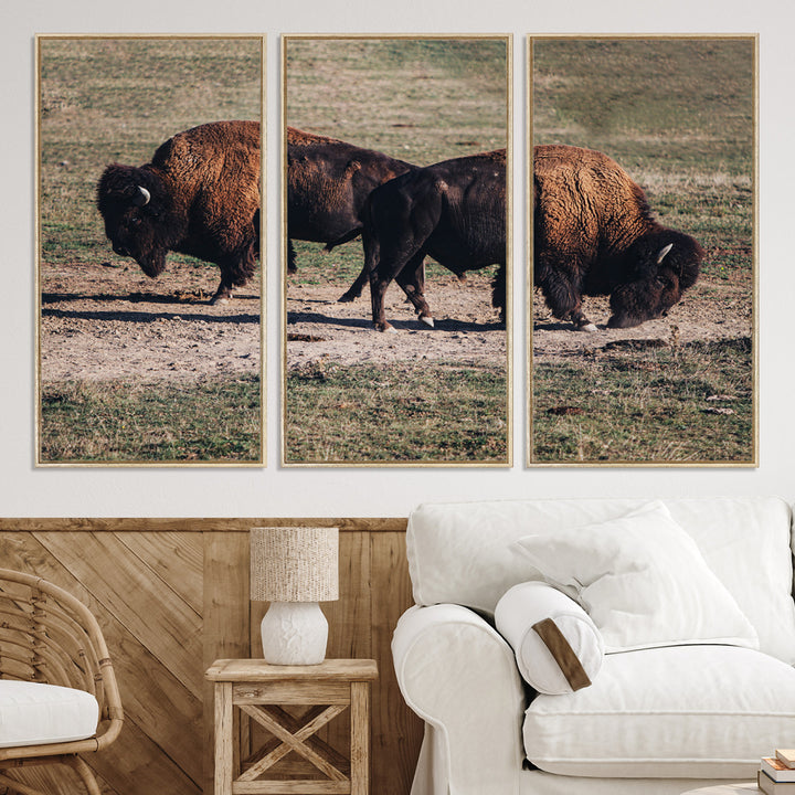 Bison Photography Wall Art Canvas Print, Framed Western Wildlife Art Picture Print, Modern Ranch Perfect Western Rustic Decor Artwork