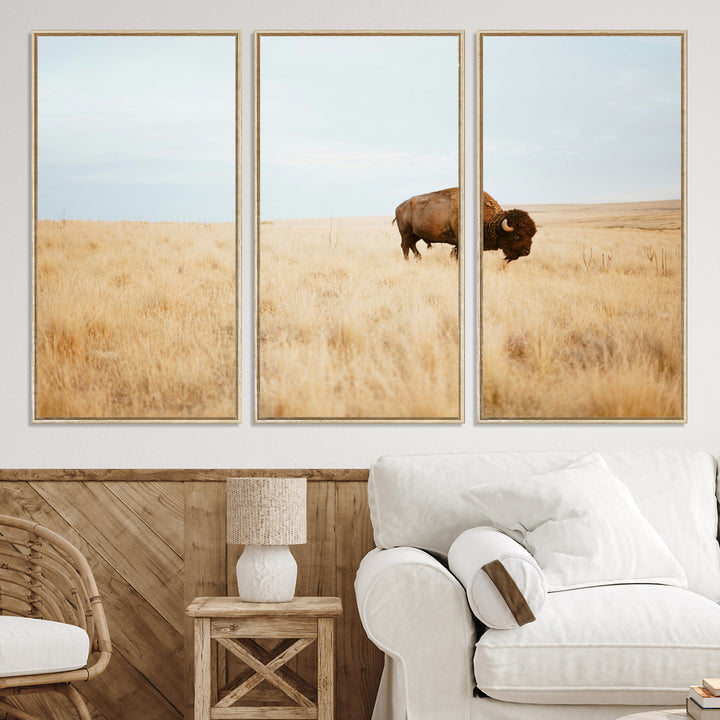 A lone bison standing in a vast golden grassland under a soft blue sky, evoking a rustic and Western aesthetic, ideal for farmhouse decor.