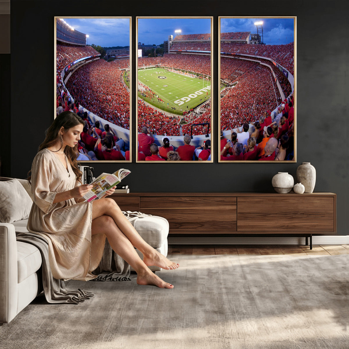 10244378-MGV-CV-36X24 - Dooley Stadium Wall Art, Sports Arena Canvas Print, Dooley Field, Home Bar Wall Decor
