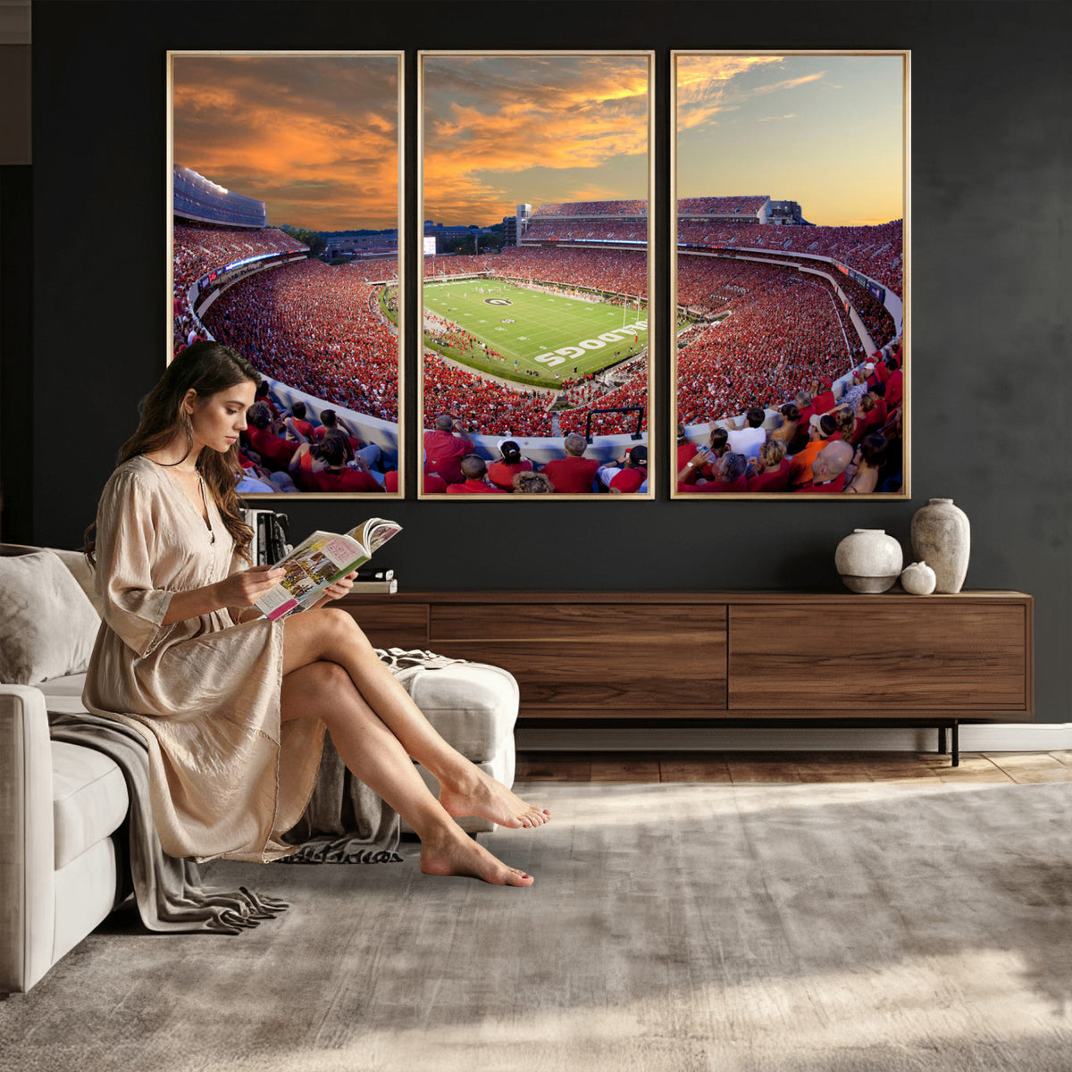 73680988-MGV-CV-36X24 - Dooley Stadium Wall Art, Sports Arena Canvas Print, Dooley Field, Framed and Ready to Hang