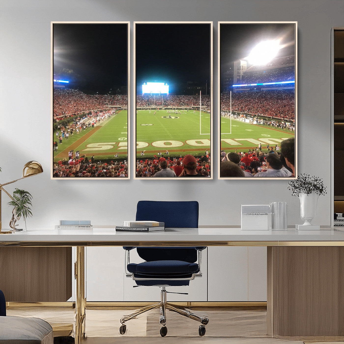 Dooley Stadium Wall Art Print, Sports Arena Canvas Wall Art, Panoramic Stadium Canvas Print, Modern Athletic Field Art Printing