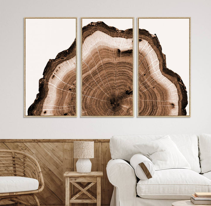 Close-up of the Rustic Wood Rings Wall Art featuring detailed tree rings and natural texture on a plain white background.