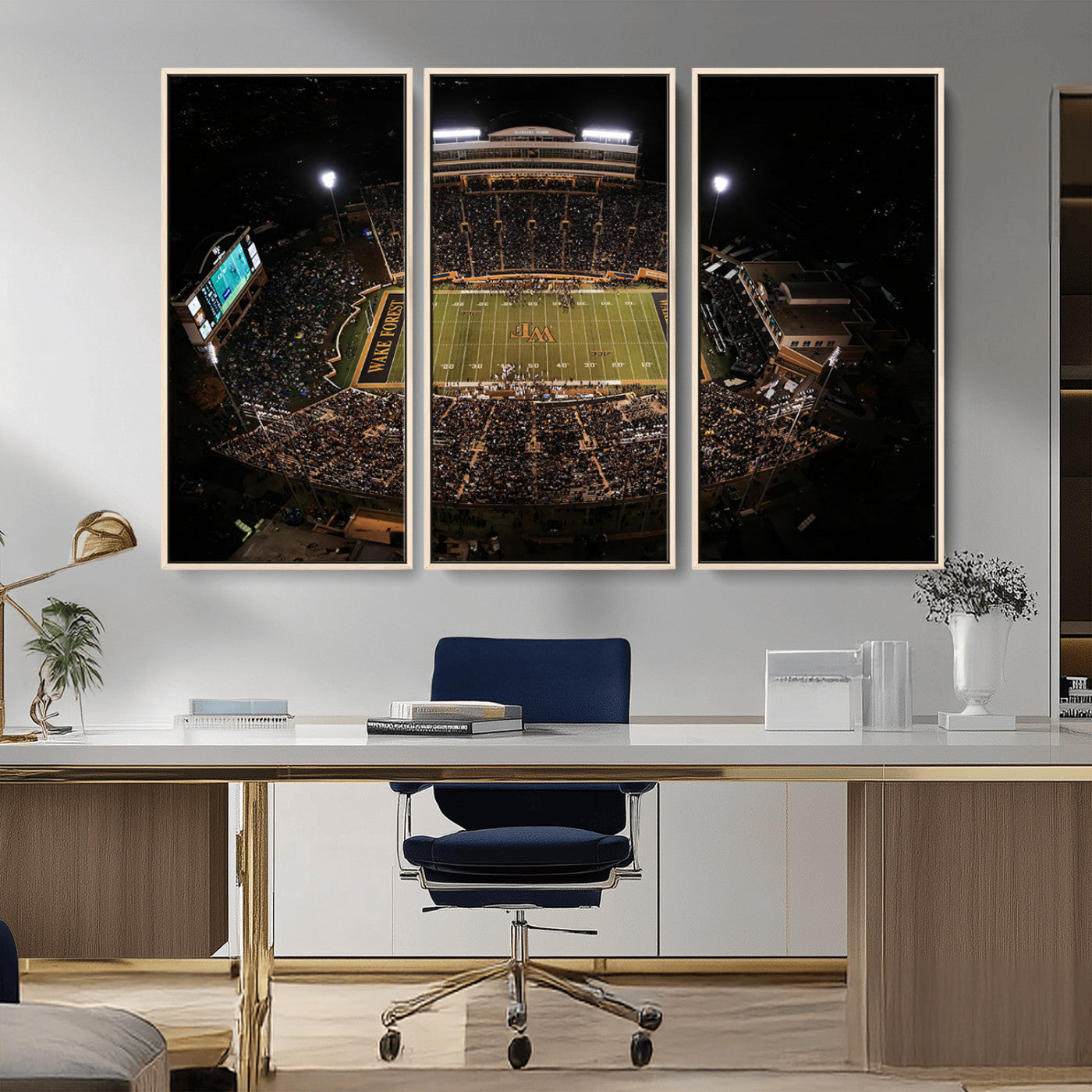 MGV-FC-48X32-3P - Wake Forest University Demon Deacons Canvas Printi, Football Team Print - Winston-Salem Allegacy