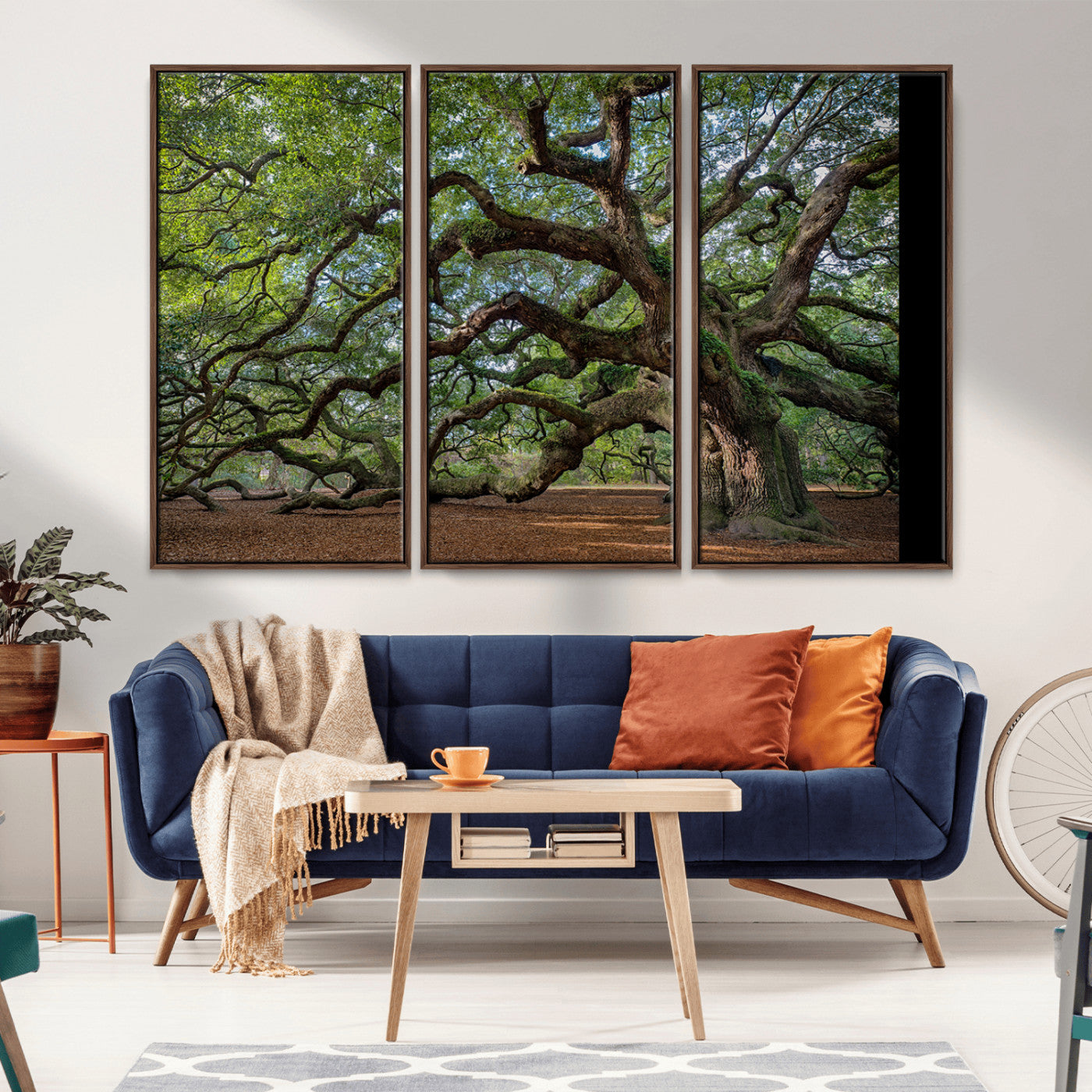Canvas of the Angel Oak tree with sprawling limbs and mossy bark, ideal for earthy natural or rustic southern-inspired decor.