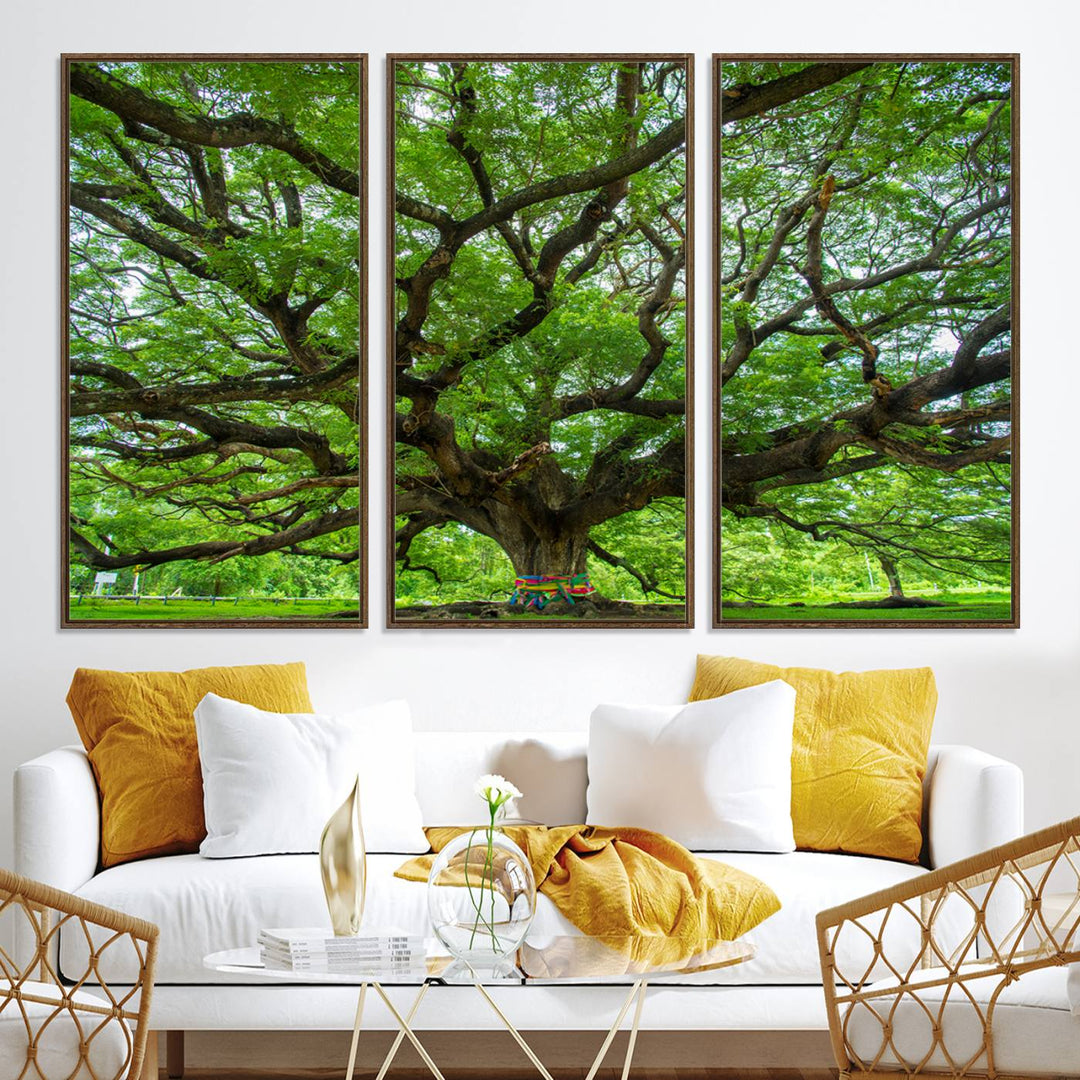 Framed Angel Oak Tree print featuring sprawling branches and ribbons against a clear sky backdrop, ideal for home or office decor.