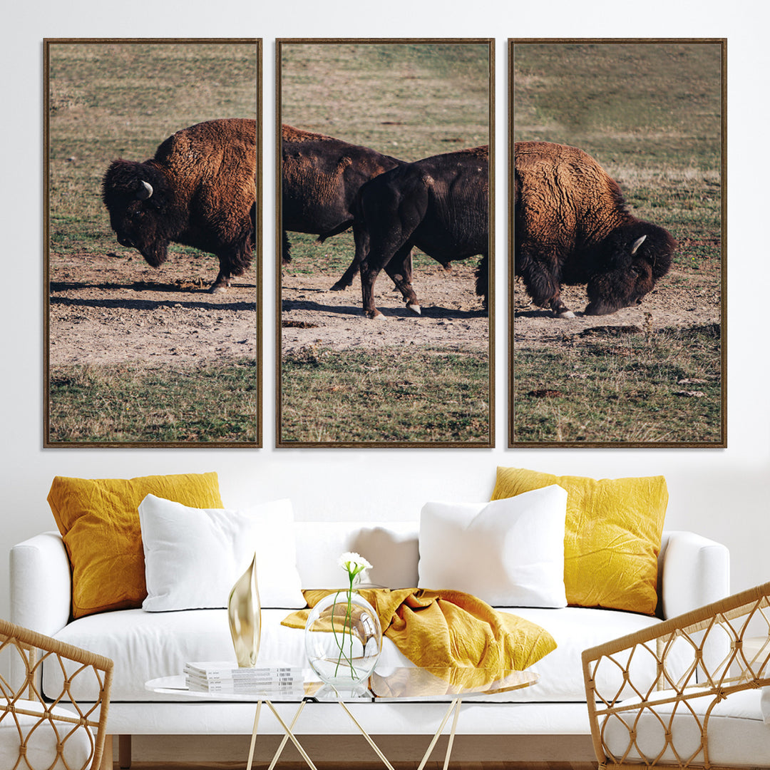 Bison Photography Wall Art Canvas Print, Framed Western Wildlife Art Picture Print, Modern Ranch Perfect Western Rustic Decor Artwork