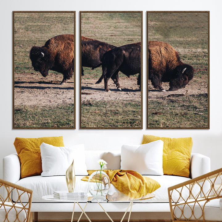 Bison Photography Wall Art Canvas Print, Framed Western Wildlife Art Picture Print, Modern Ranch Perfect Western Rustic Decor Artwork