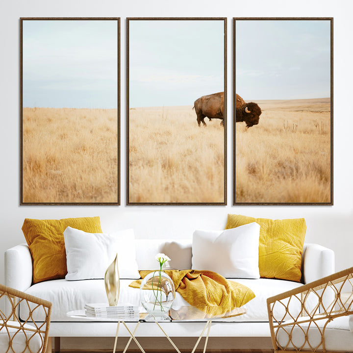 A lone bison standing in a vast golden grassland under a soft blue sky, evoking a rustic and Western aesthetic, ideal for farmhouse decor.
