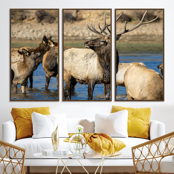 Group of elk standing in shallow water with dry rocky terrain in the background, showcasing wildlife in a natural setting for rustic decor.