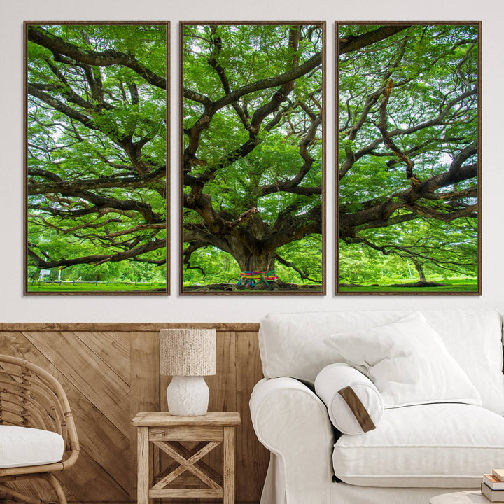 Framed Angel Oak Tree print featuring sprawling branches and ribbons against a clear sky backdrop, ideal for home or office decor.