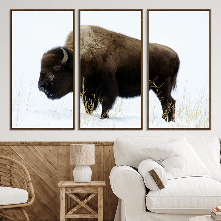 Bison Photography Wall Art Canvas Print, Framed Western Wildlife Art Picture Print, Buffalo On Snow Perfect Western Decor Artwork