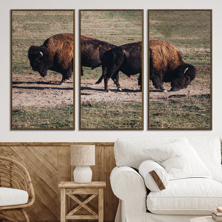 Bison Photography Wall Art Canvas Print, Framed Western Wildlife Art Picture Print, Modern Ranch Perfect Western Rustic Decor Artwork