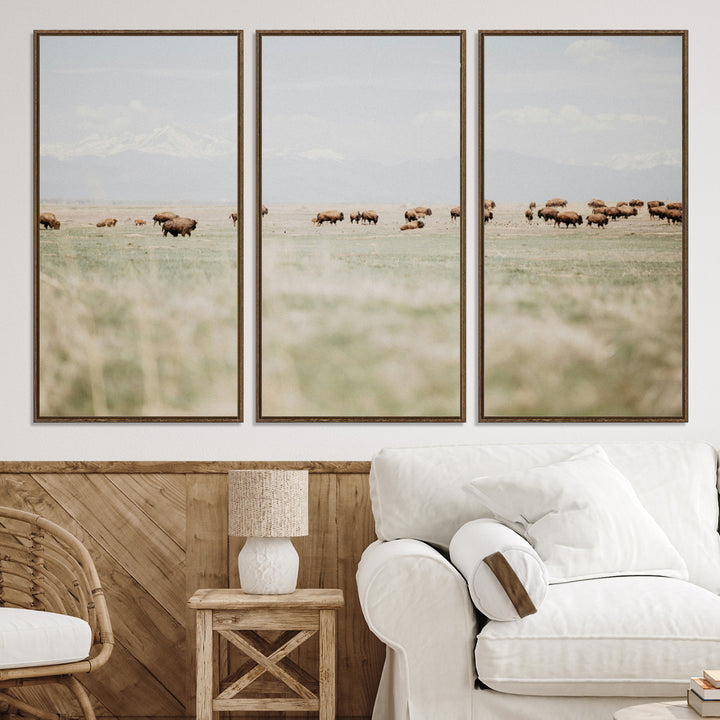 Bison Herd Wall Art Canvas Print, Framed Western Art Picture Print, Bison Perfect Ranch Decor Artwork