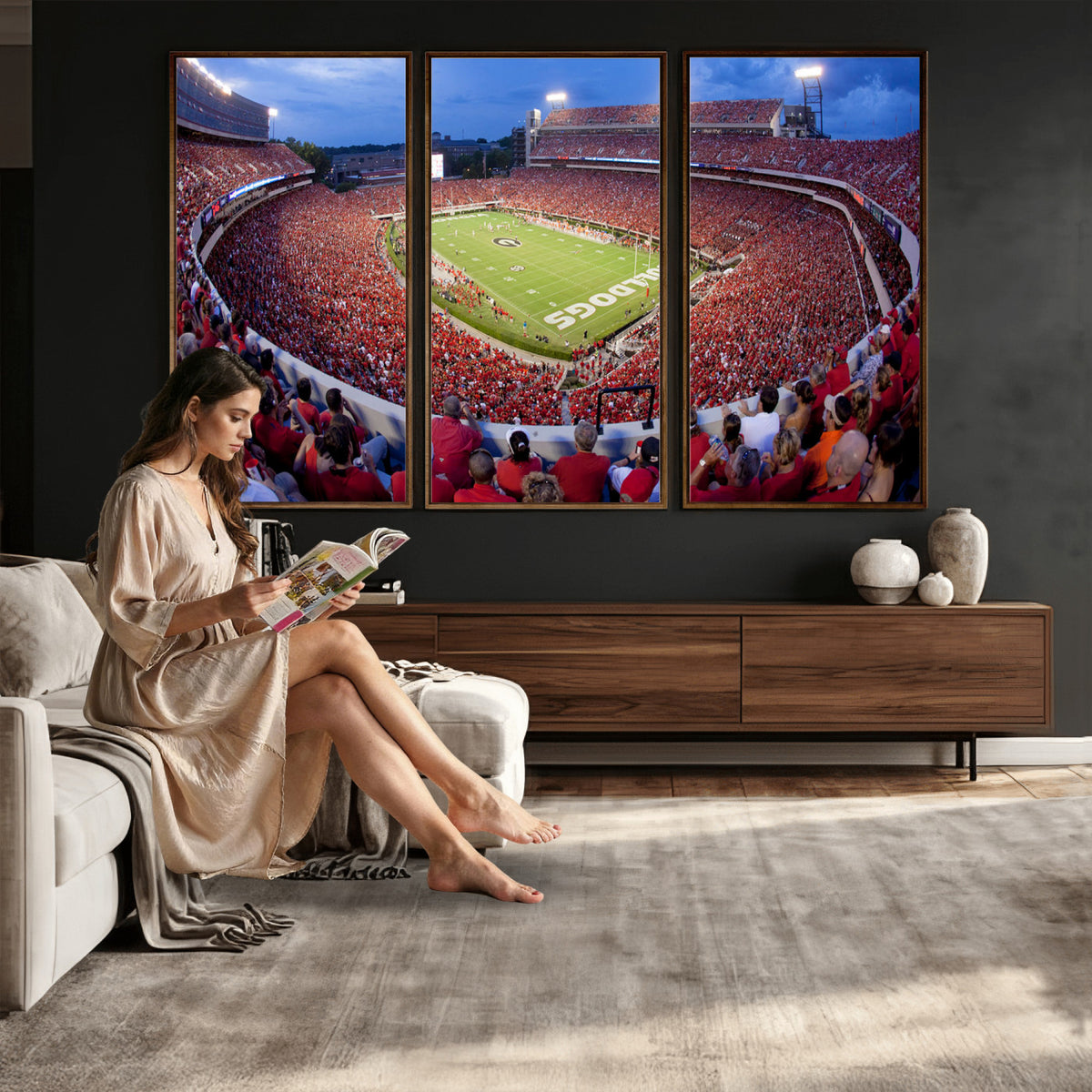 10244378-MGV-CV-36X24 - Dooley Stadium Wall Art, Sports Arena Canvas Print, Dooley Field, Home Bar Wall Decor