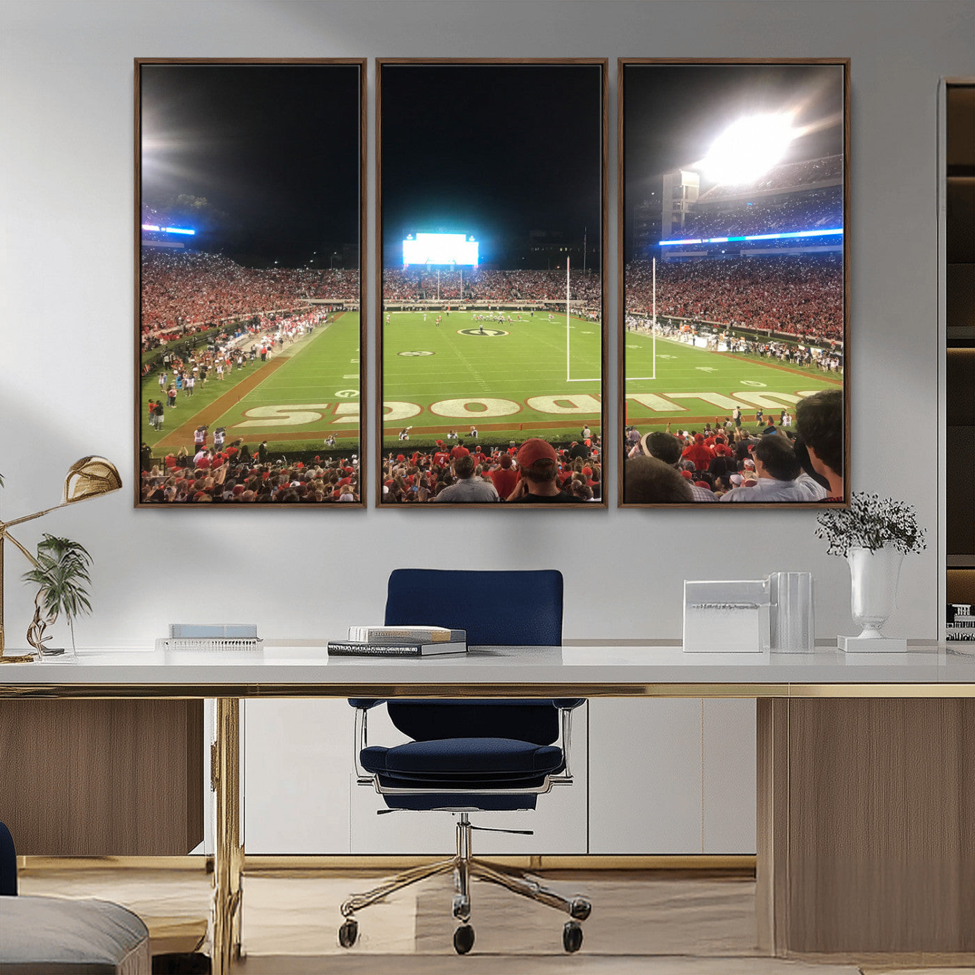 Dooley Stadium Wall Art Print, Sports Arena Canvas Wall Art, Panoramic Stadium Canvas Print, Modern Athletic Field Art Printing
