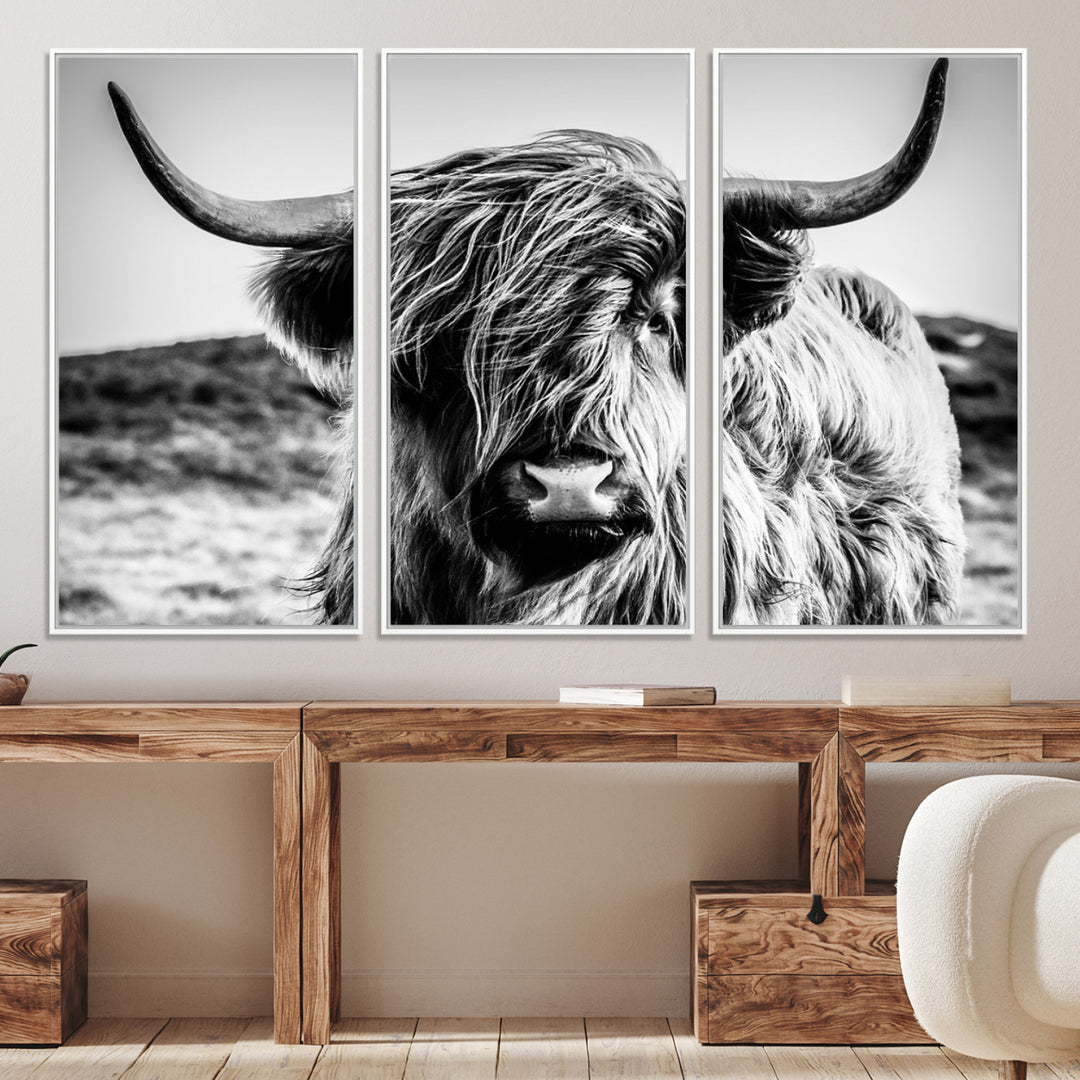 Highland Cow Wall Art | 3-Panel Black and White Highland Cow Canvas Print for Western Farmhouse Decor