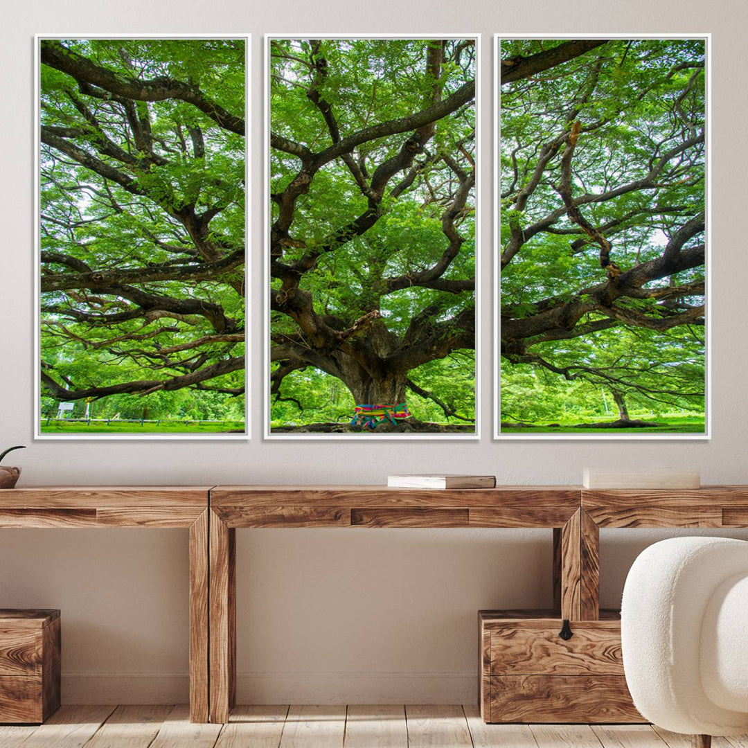 Framed Angel Oak Tree print featuring sprawling branches and ribbons against a clear sky backdrop, ideal for home or office decor.