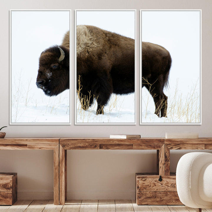Bison Photography Wall Art Canvas Print, Framed Western Wildlife Art Picture Print, Buffalo On Snow Perfect Western Decor Artwork