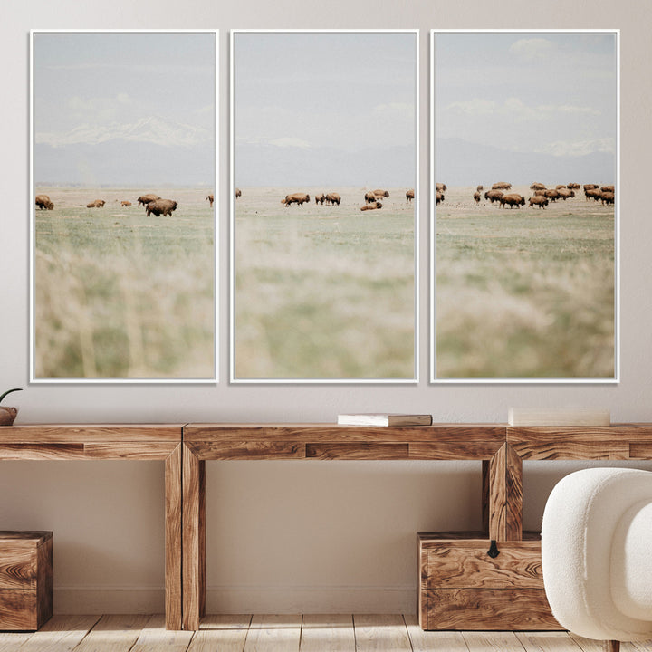 Bison Herd Wall Art Canvas Print, Framed Western Art Picture Print, Bison Perfect Ranch Decor Artwork