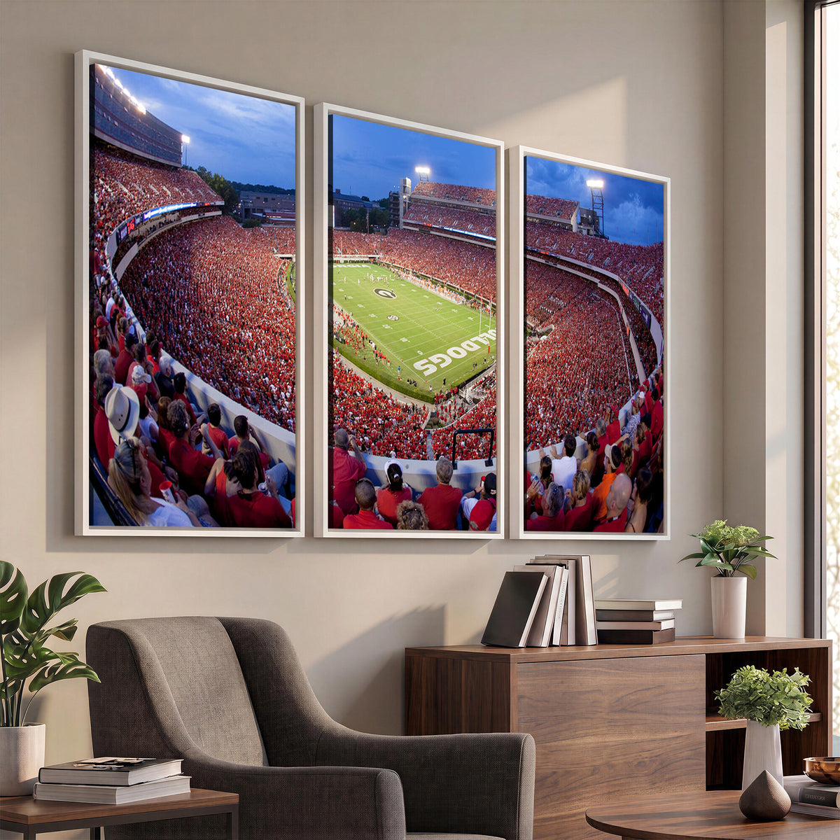 10244378-MGV-CV-36X24 - Dooley Stadium Wall Art, Sports Arena Canvas Print, Dooley Field, Home Bar Wall Decor