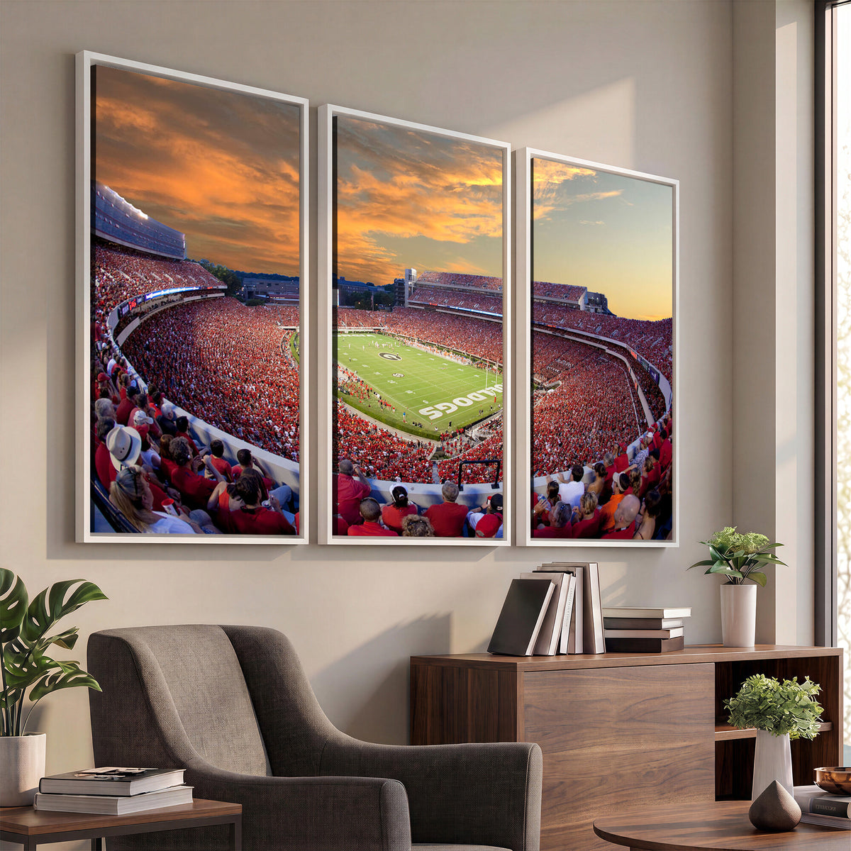 73680988-MGV-CV-36X24 - Dooley Stadium Wall Art, Sports Arena Canvas Print, Dooley Field, Framed and Ready to Hang