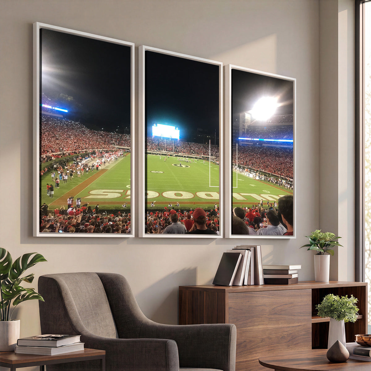 16230786-MGV-CV-36X24 - Dooley Stadium Wall Art, Sports Arena Panoramic Canvas