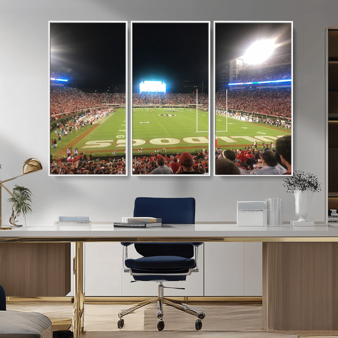 Dooley Stadium Wall Art Print, Sports Arena Canvas Wall Art, Panoramic Stadium Canvas Print, Modern Athletic Field Art Printing