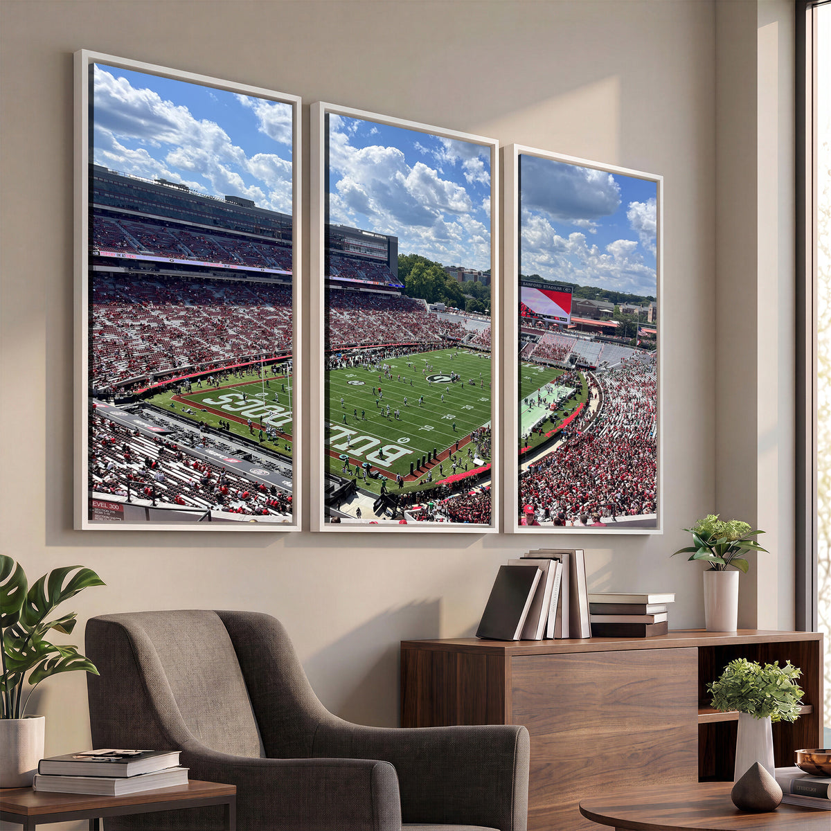 10665453-MGV-CV-36X24 - Georgia Bulldogs Stadium Wall Art Canvas Print, Sanford, Framed and Ready to Hang