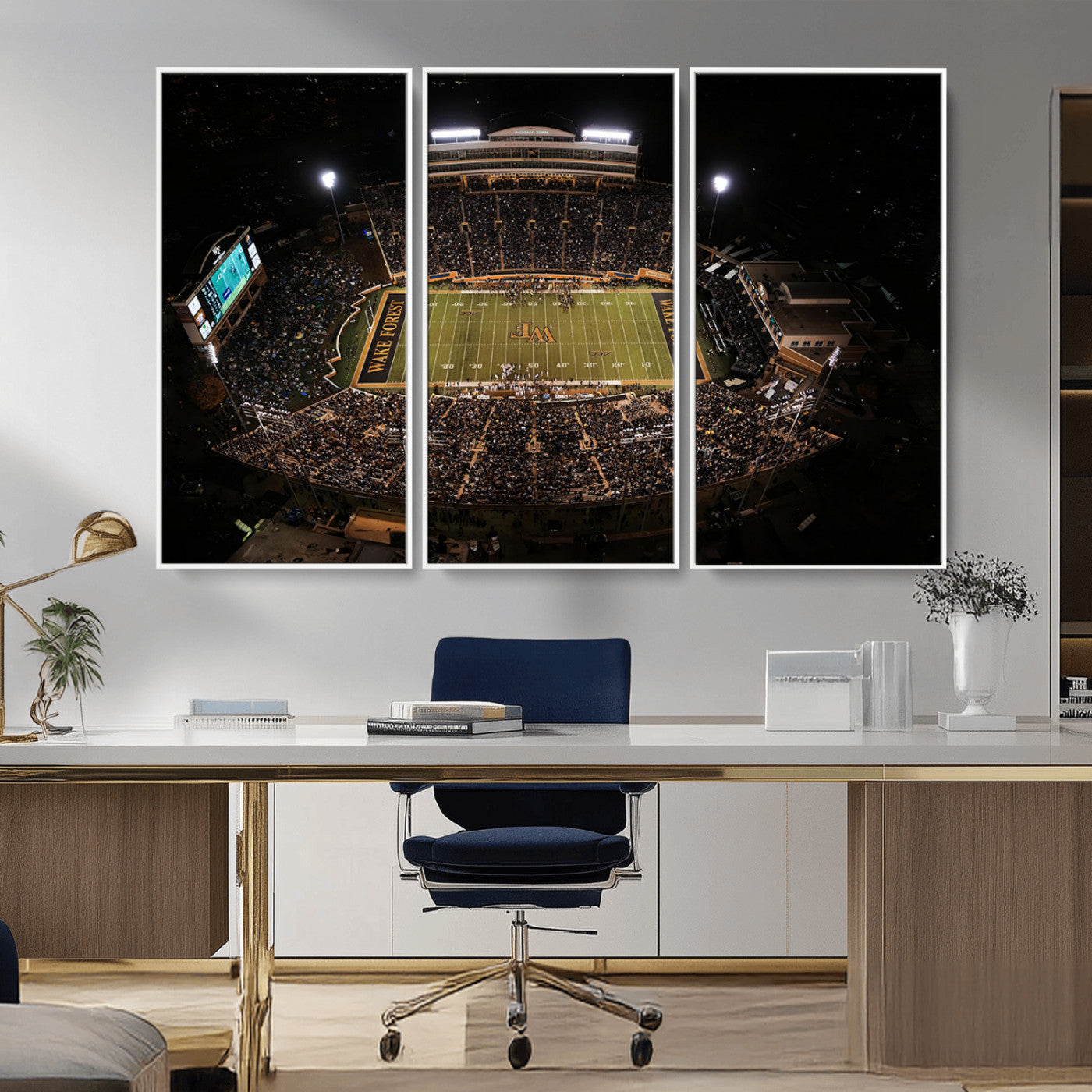 MGV-FC-48X32-3P - Wake Forest University Demon Deacons Canvas Printi, Football Team Print - Winston-Salem Allegacy