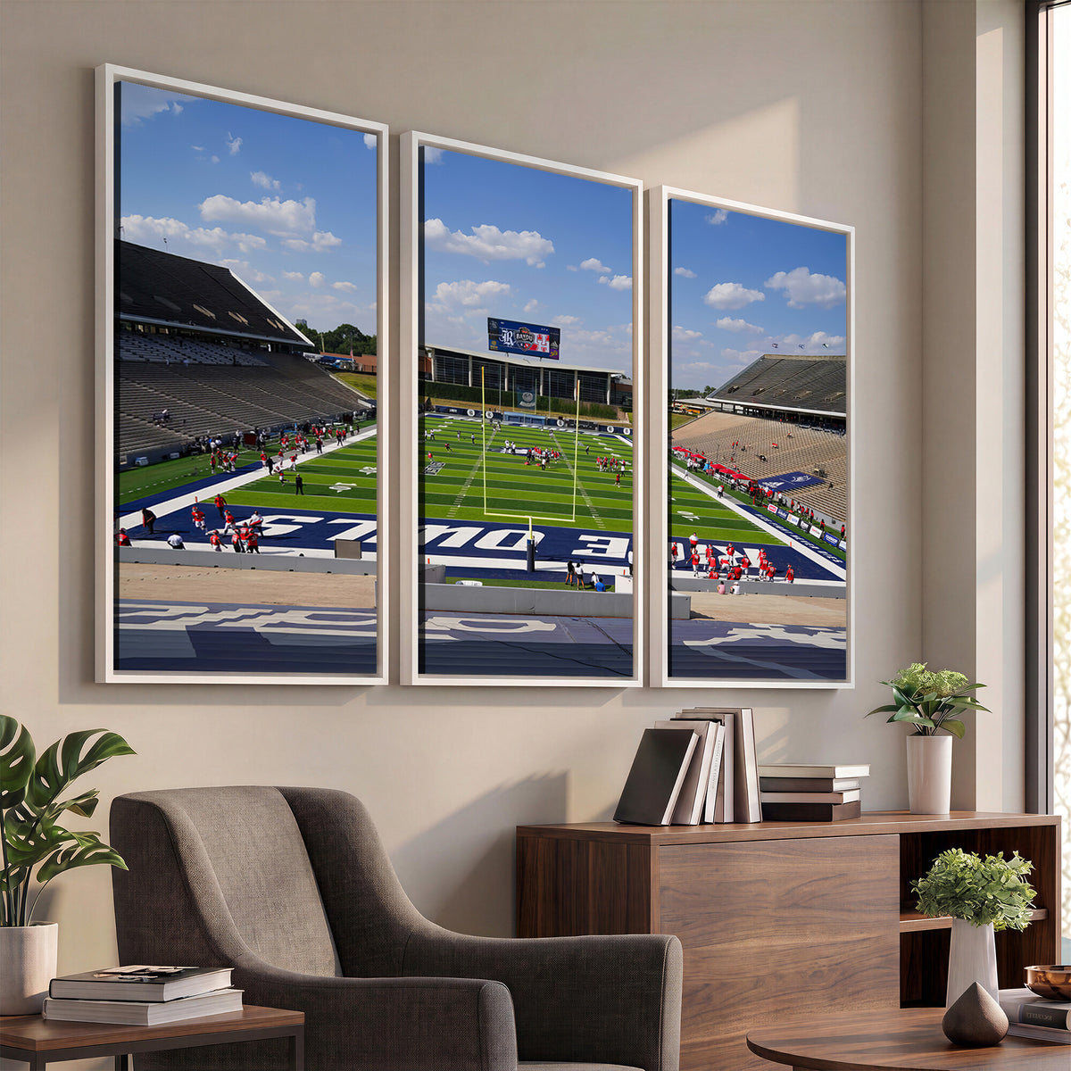 92248-MGV-CV-36X24 - Rice University Owls Football Team Print, Houston Rice Stadium