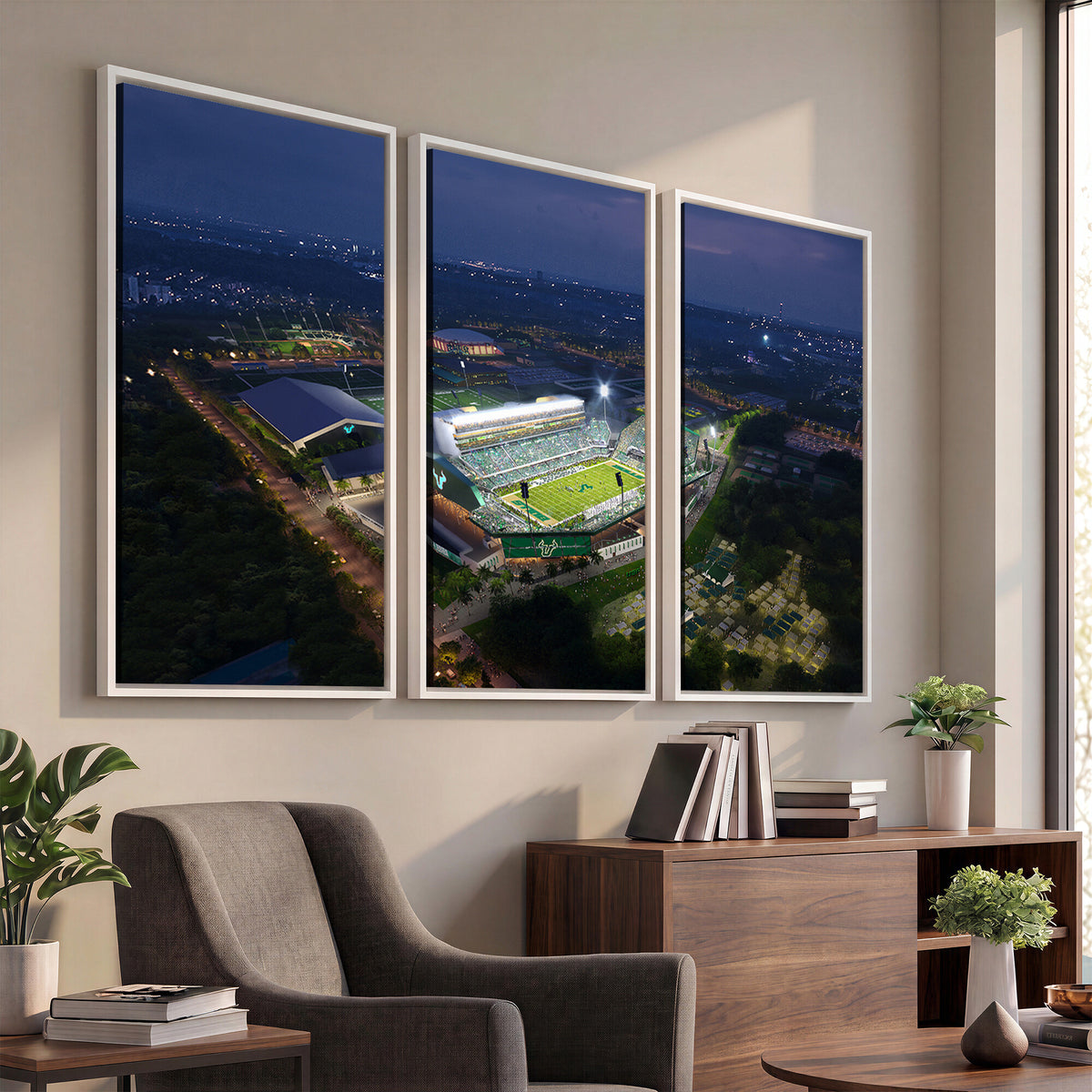 27554-MGV-CV-36X24 - The University of South Florida Bulls Football Team Print