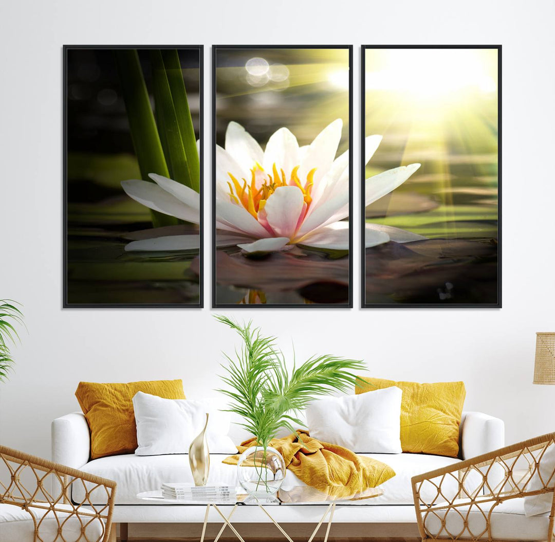 The Lotus Flower Wall Art Canvas Print showcases a white water lily with a yellow center floating gracefully in sunlight.