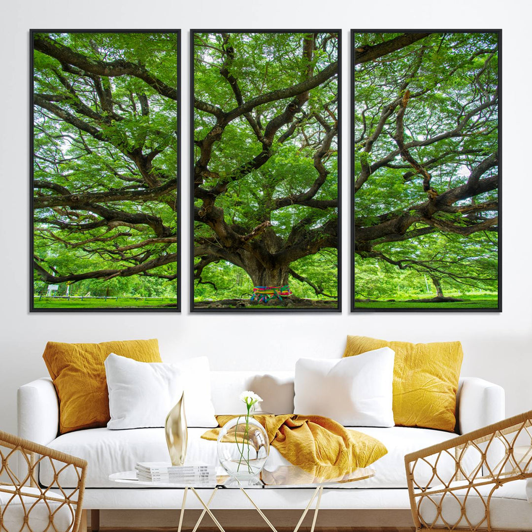 Framed Angel Oak Tree print featuring sprawling branches and ribbons against a clear sky backdrop, ideal for home or office decor.