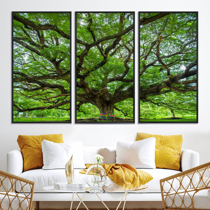 Framed Angel Oak Tree print featuring sprawling branches and ribbons against a clear sky backdrop, ideal for home or office decor.