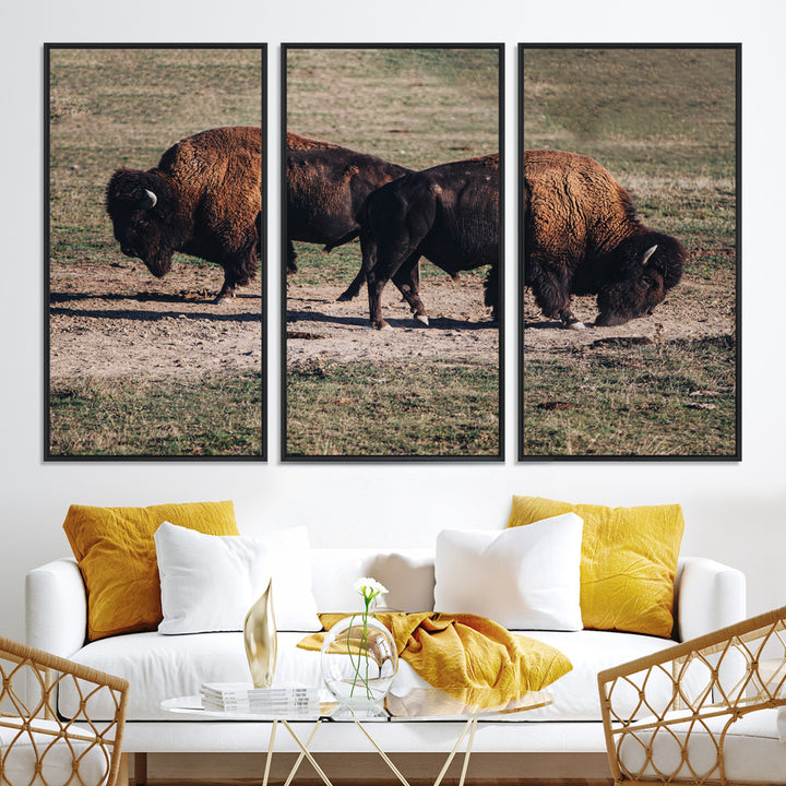 Bison Photography Wall Art Canvas Print, Framed Western Wildlife Art Picture Print, Modern Ranch Perfect Western Rustic Decor Artwork