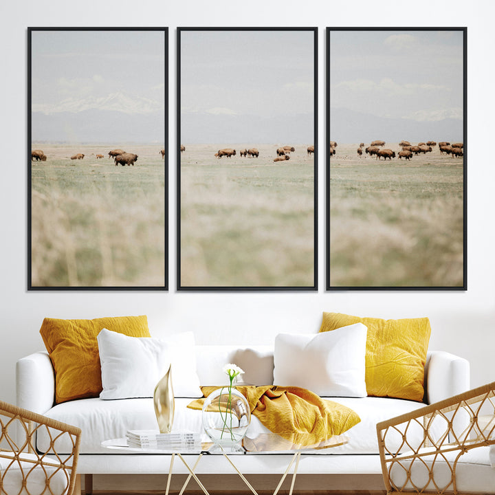 Bison Herd Wall Art Canvas Print, Framed Western Art Picture Print, Bison Perfect Ranch Decor Artwork