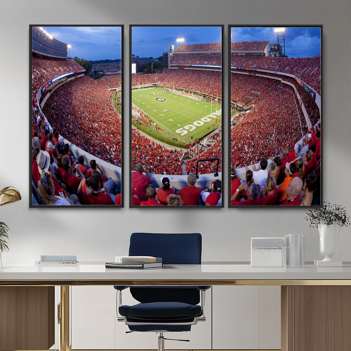 10244378-MGV-CV-36X24 - Dooley Stadium Wall Art, Sports Arena Canvas Print, Dooley Field, Home Bar Wall Decor