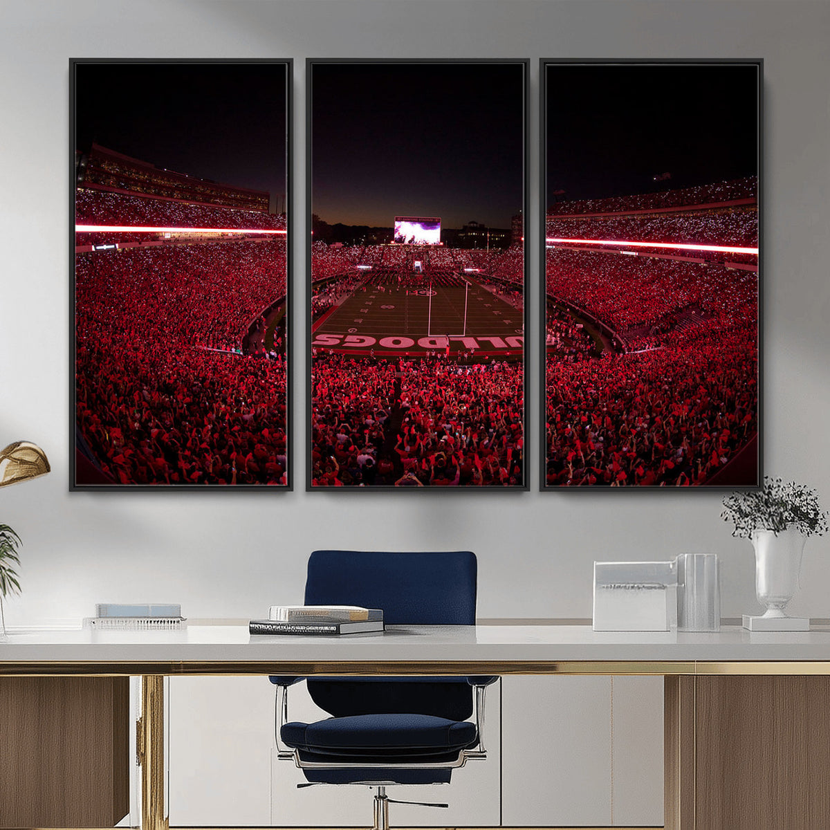 38331045-MGV-CV-36X24 - Dooley Stadium Wall Art, Sports Arena Canvas Print, Dooley Field Sanford Stadium