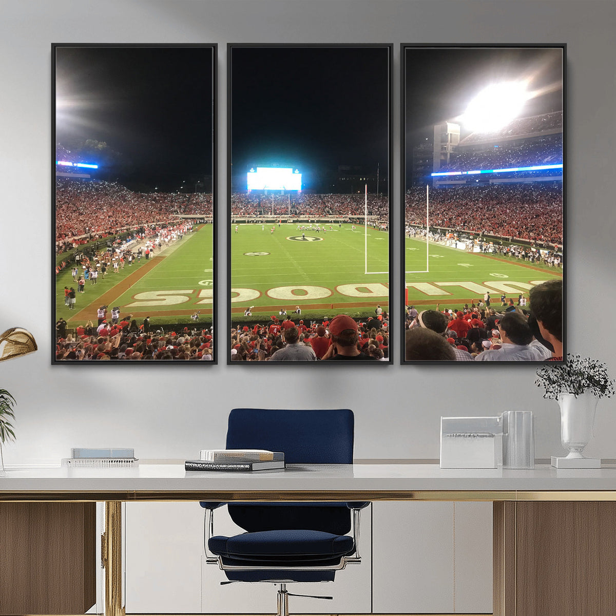 16230786-MGV-CV-36X24 - Dooley Stadium Wall Art, Sports Arena Panoramic Canvas