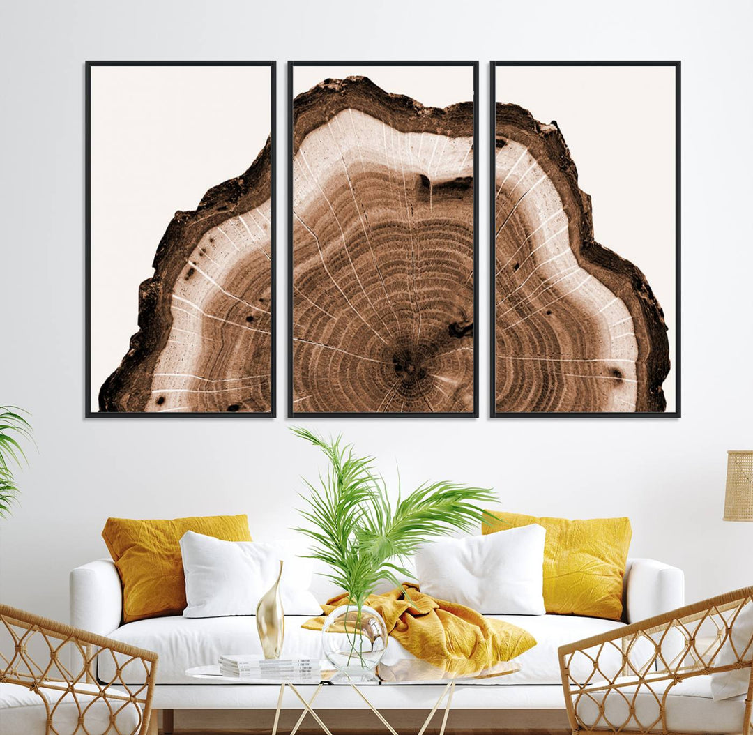 Close-up of the Rustic Wood Rings Wall Art featuring detailed tree rings and natural texture on a plain white background.