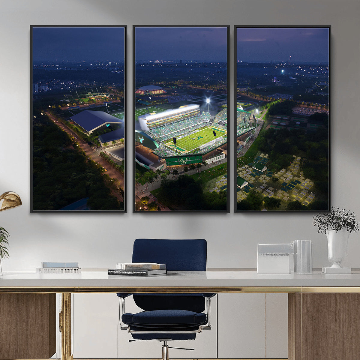 27554-MGV-CV-36X24 - The University of South Florida Bulls Football Team Print