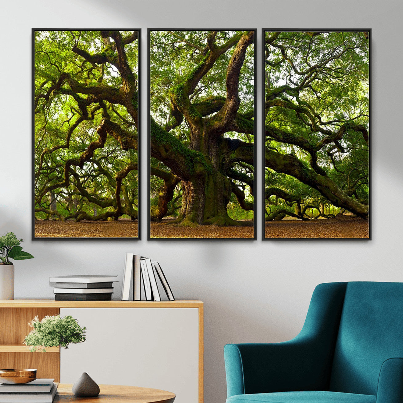 29407-MGV-CV-36X24 - Angel Oak Tree Wall Art Canvas Print | Large Forest Tree Nature Photography Print on Canvas