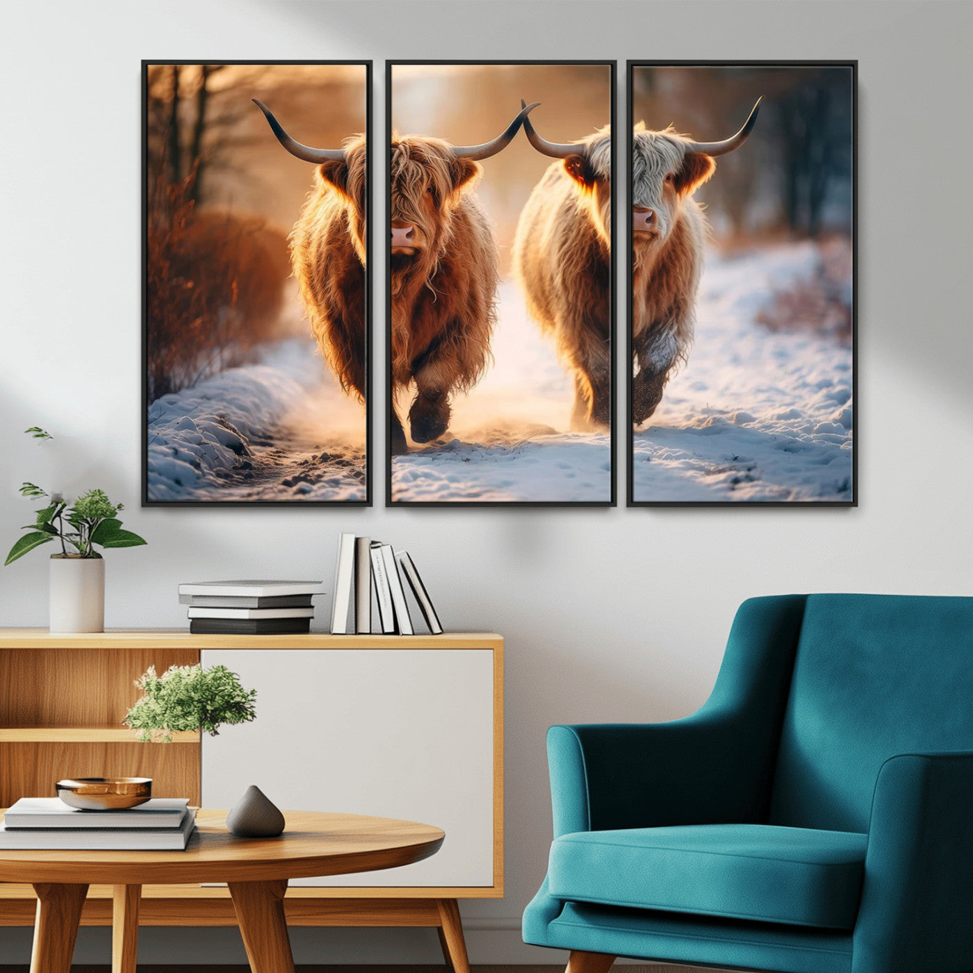 MGV-FC-48X32-3P - Scottish Highland Cow Horn Farm Wall Art Canvas Print