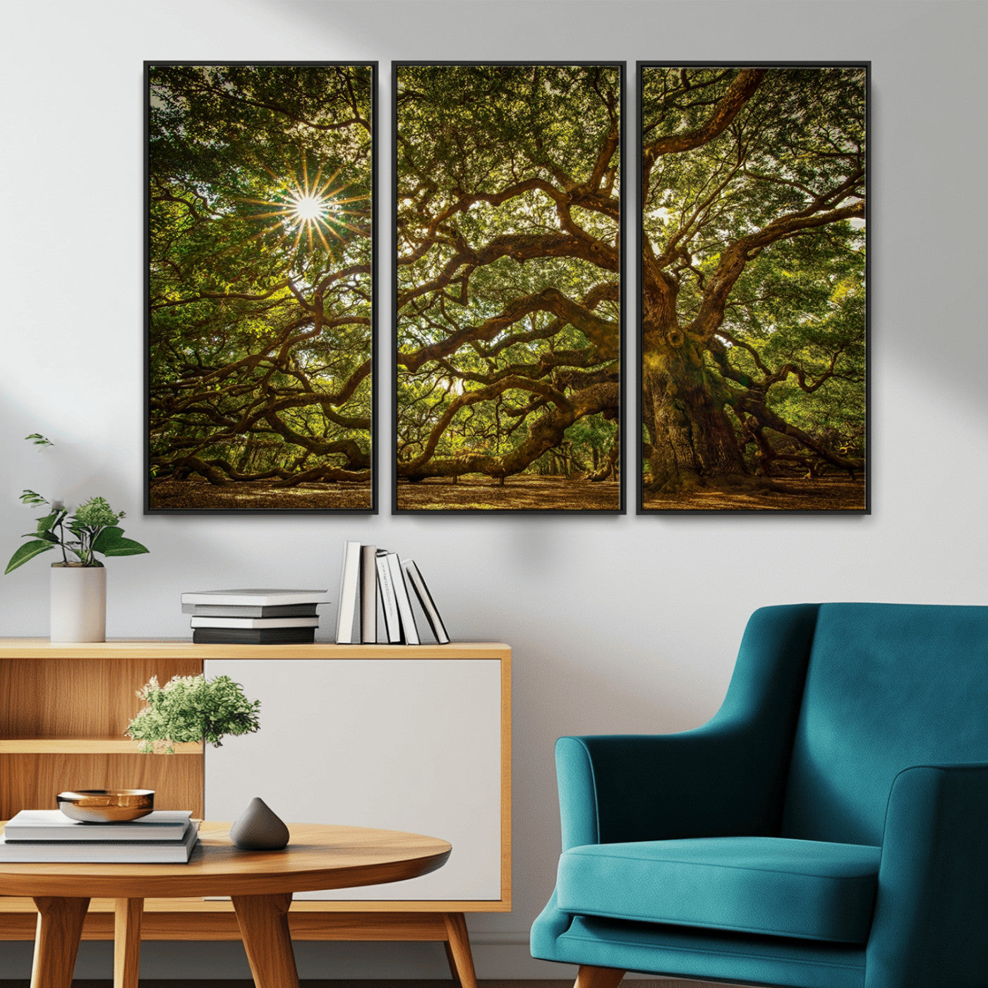 MGV-FC-48X32-3P - Ancient Angel Oak Tree Art Sunburst Canvas Print- Nature-Inspired Triptych Canvas Print, Framed, Ready to Hang