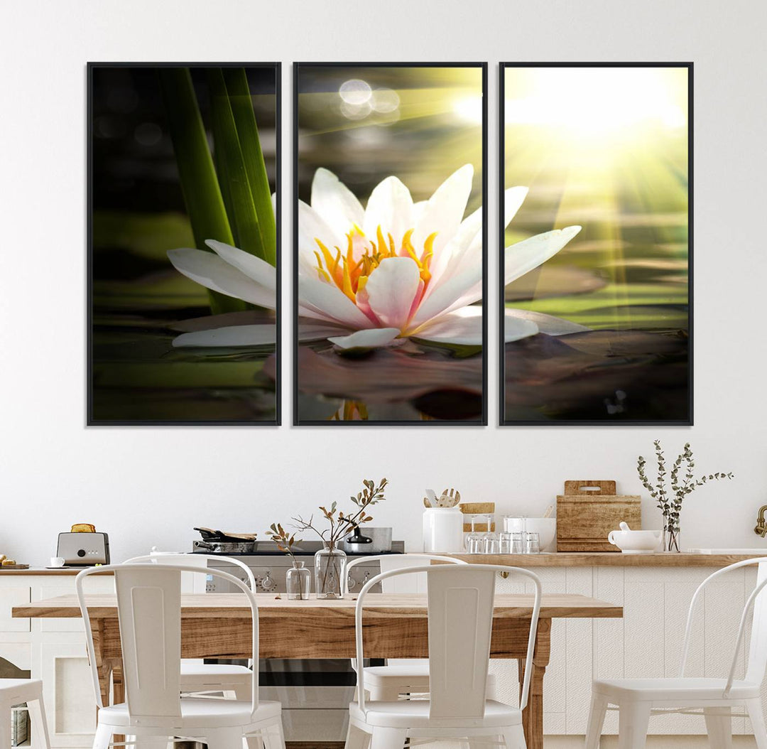 The Lotus Flower Wall Art Canvas Print showcases a white water lily with a yellow center floating gracefully in sunlight.