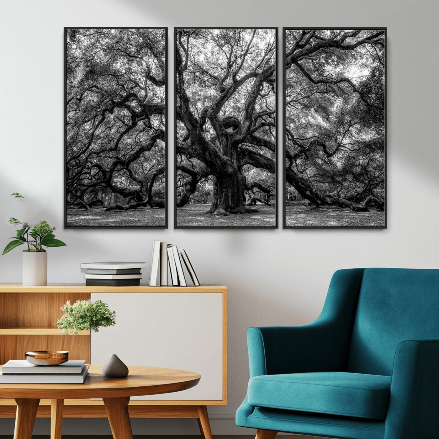 MGV-FC-48X32-3P - Black and White Old Angel Oak Tree Wall Art Canvas Print