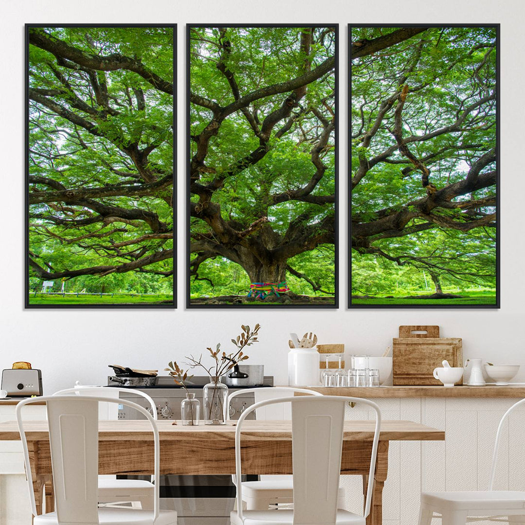 Framed Angel Oak Tree print featuring sprawling branches and ribbons against a clear sky backdrop, ideal for home or office decor.