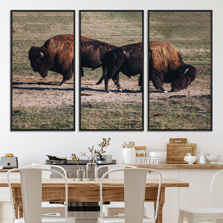 Bison Photography Wall Art Canvas Print, Framed Western Wildlife Art Picture Print, Modern Ranch Perfect Western Rustic Decor Artwork