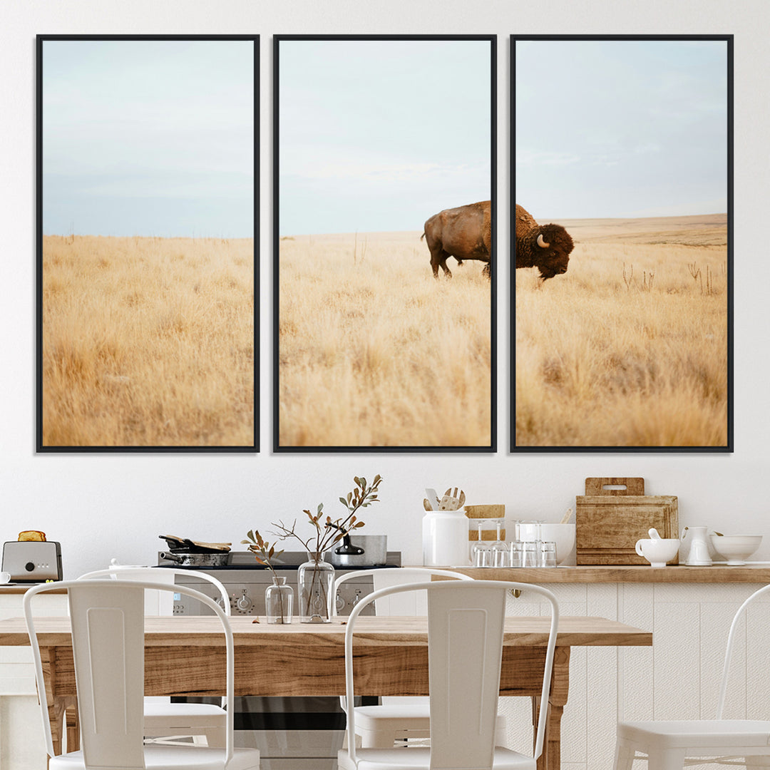 A lone bison standing in a vast golden grassland under a soft blue sky, evoking a rustic and Western aesthetic, ideal for farmhouse decor.
