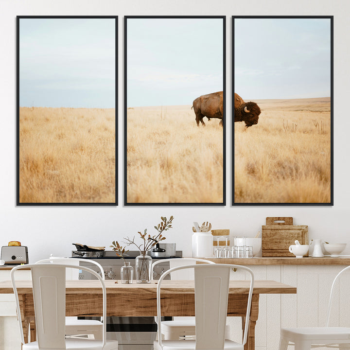 A lone bison standing in a vast golden grassland under a soft blue sky, evoking a rustic and Western aesthetic, ideal for farmhouse decor.